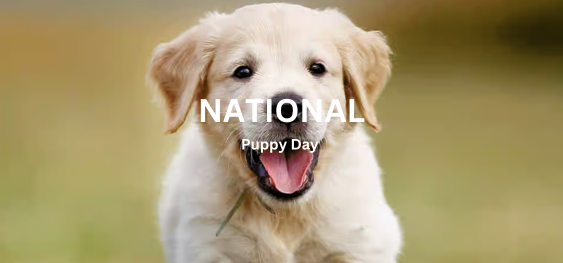 National Puppy Day [राष्ट्रीय पिल्ला दिवस]